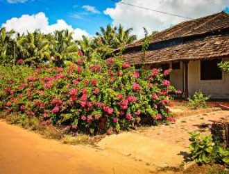 Отдых на Гоа&nbsp;&mdash; ценовая политика