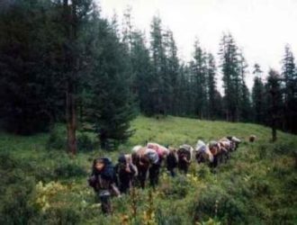 Заграничный детский отдых