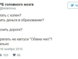 Неизвестные нацарапали неприличные надписи на кактусах в ботсаду Ялты
