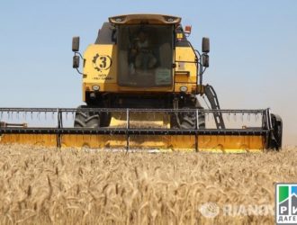 Минсельхоз не планирует расширять список запрещенных турецких товаров