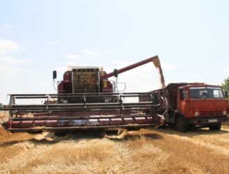 Минсельхоз сказал размер пошлин на ввоз русских продуктов в Турцию