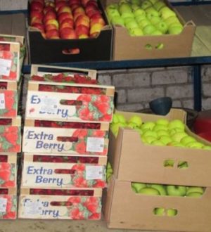 Турция не уведомляла о введении пошлин — Россельхознадзор