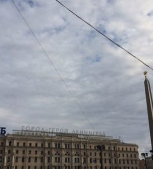 Петербуржские власти могут ввести бесплатные электронные визы для иностранцев