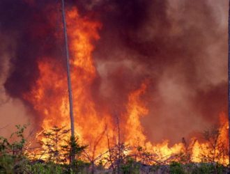 Из-за лесных пожаров в Хорватии эвакуированы 800 туристов