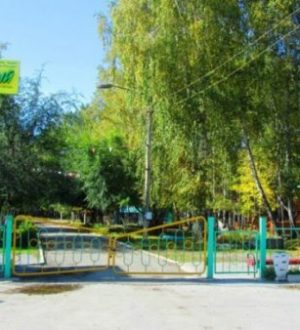 Детский лагерь под Новосибирском закрыли после вспышки ринофарингита‍