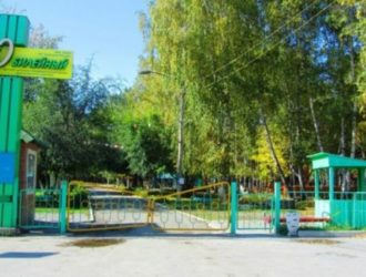 Детский лагерь под Новосибирском закрыли после вспышки ринофарингита‍