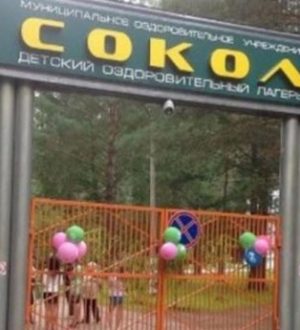 В детском лагере «Сокол» под Ачинском вспышка энтеровируса