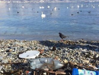 Жители России завалили ОП жалобами на загрязненные пляжи русских курортов