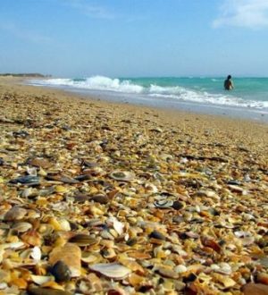 В Анапе туристам запретили купаться в море