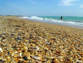 В Анапе туристам запретили купаться в море