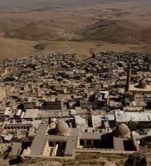 Туристов привезли в город Турции на границе с Сирией