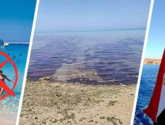 Катастрофа под Хургадой: землетрясение привело к нефтяному загрязнению пляжей и выбросу токсичных газов