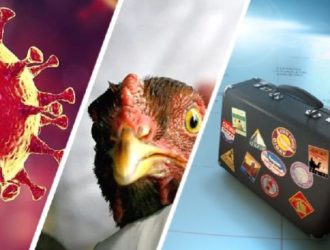 Для туризма прозвучал тревожный звонок: птичий грипп впервые перекинулся на людей