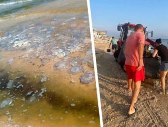Медузы сорвали туристический сезон на российском курорте