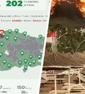 Места пожаров в Турции, которые еще бушуют