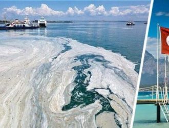 На пляжах Турции морская слизь начала менять цвет воды на серый, убивая всю живность